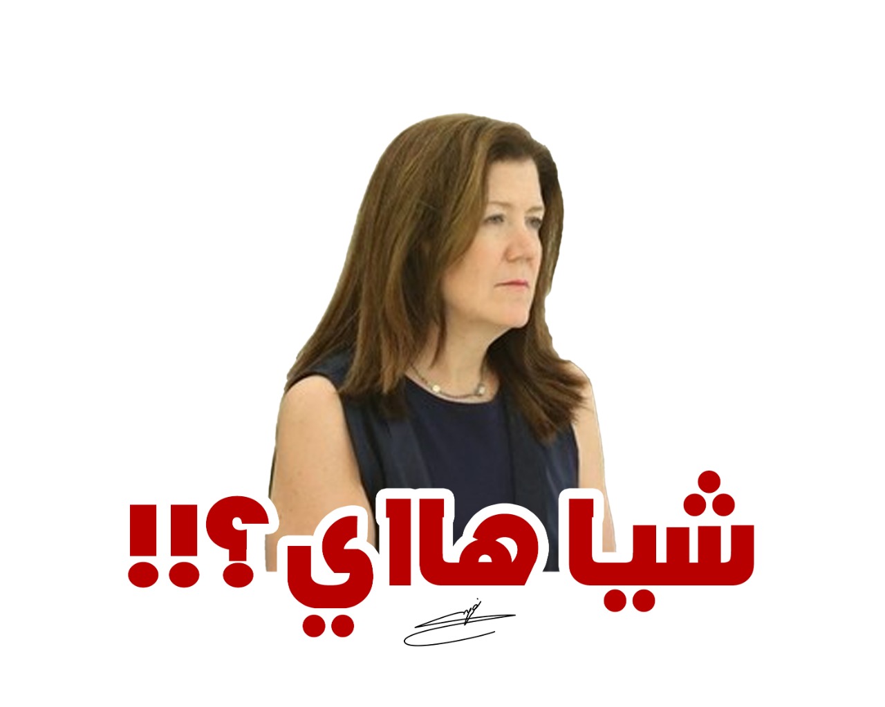 شيا تستضيف إعلامها، وأهل الحب ضيوف السيد الأمين..