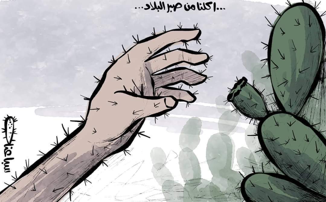 أكلنا من صبر البلاد