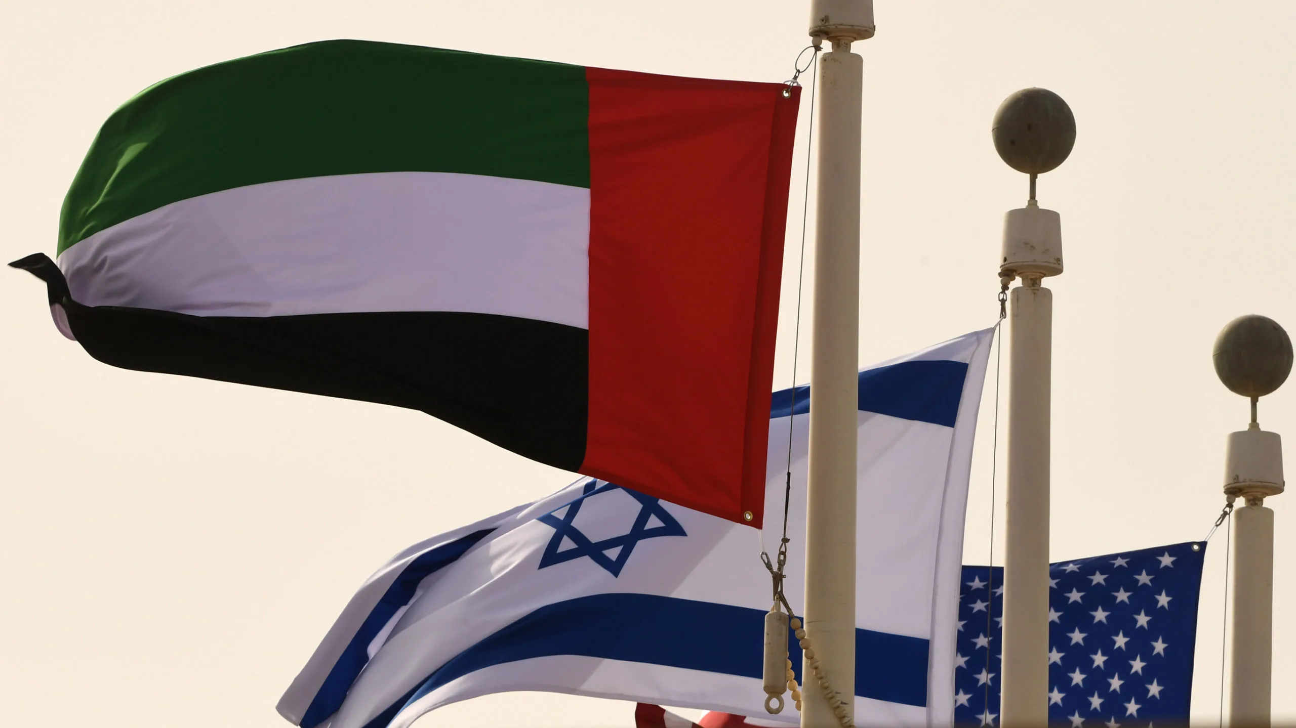 فلسفة التطبيع وحصاد الهشيم