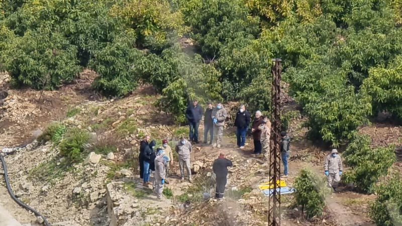 جرائم جانبية على هامش المجزرة