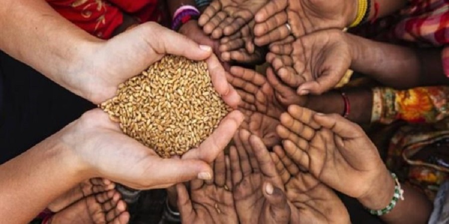 آثار جانبية.. كيف ينجو الشرق الأوسط من أزمة الغذاء الأوكرانية؟