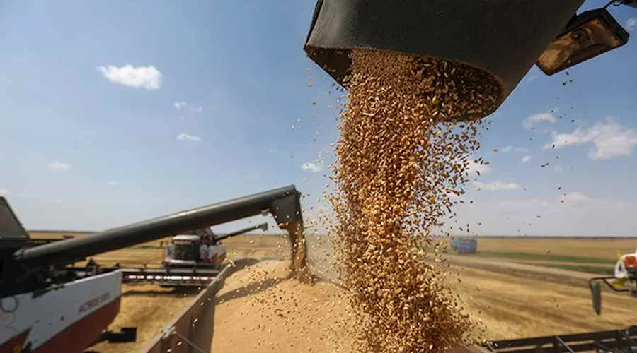 كيف تؤثر أزمة الأسمدة على الأمن الغذائي العالمي؟
