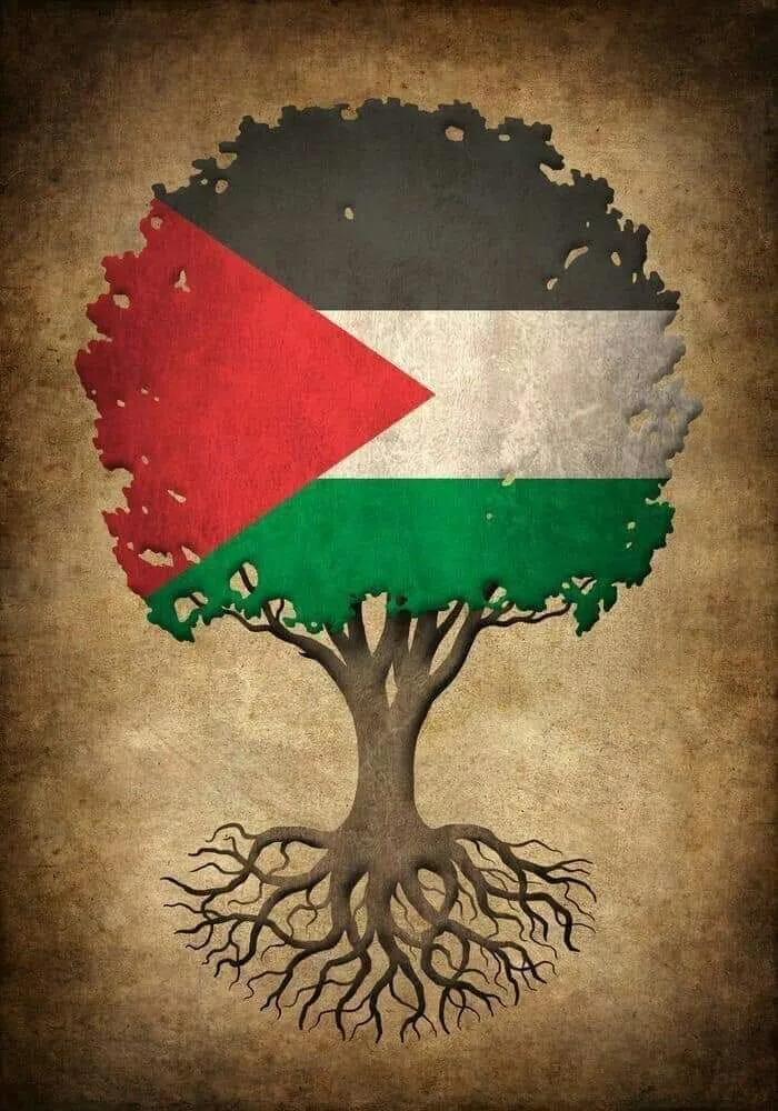 غزة.. أنبتت نصرًا