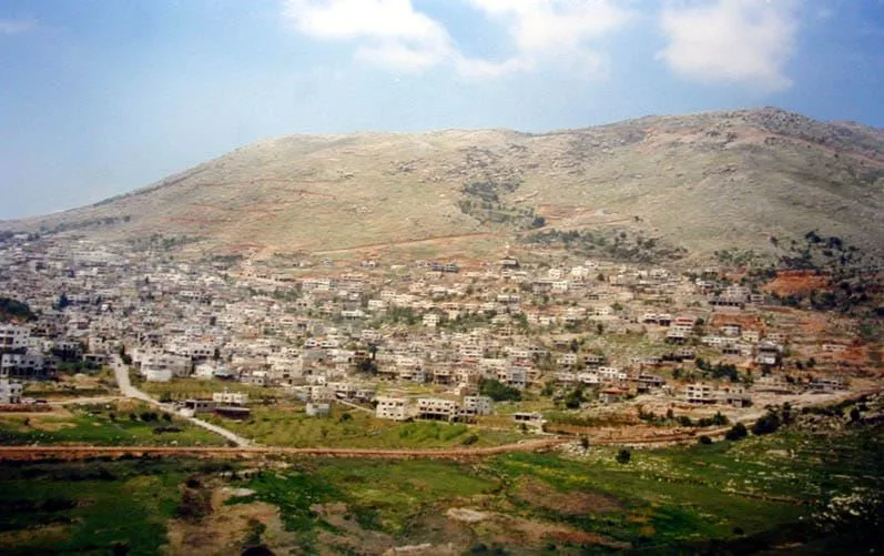 تاريخ مجدل شمس المقاوم