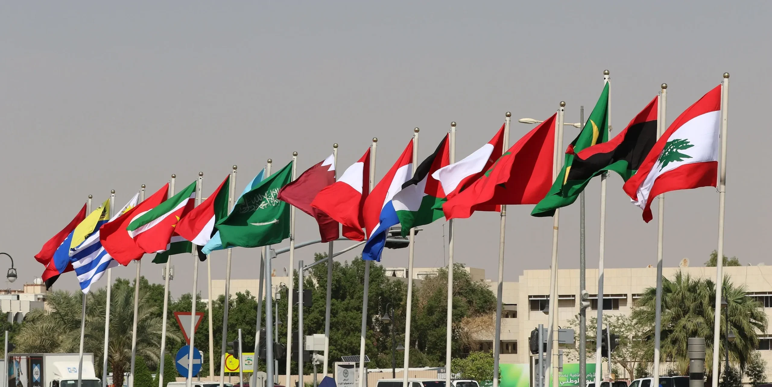 السمات الأبرز لخريطة التجزئة في المنطقة العربية